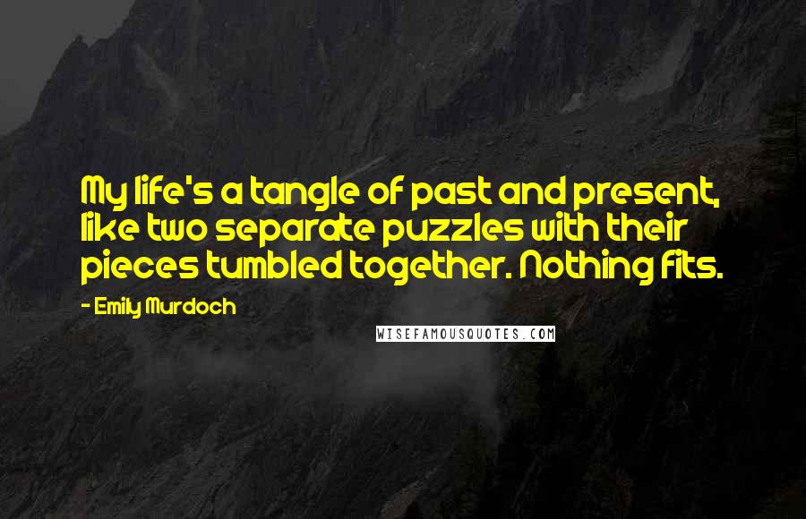 Emily Murdoch Quotes: My life's a tangle of past and present, like two separate puzzles with their pieces tumbled together. Nothing fits.