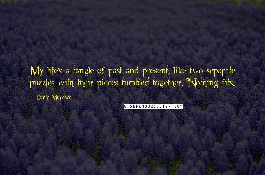 Emily Murdoch Quotes: My life's a tangle of past and present, like two separate puzzles with their pieces tumbled together. Nothing fits.