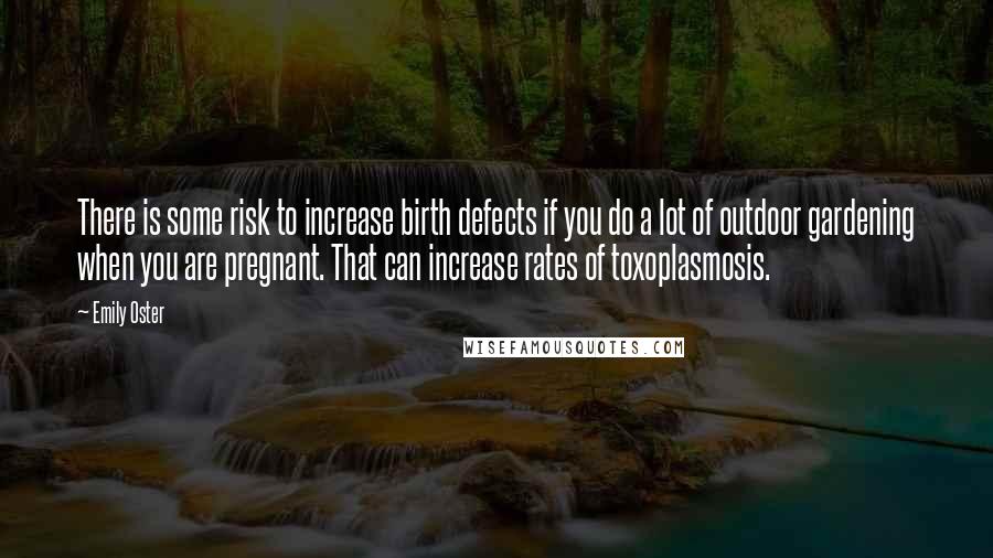 Emily Oster Quotes: There is some risk to increase birth defects if you do a lot of outdoor gardening when you are pregnant. That can increase rates of toxoplasmosis.