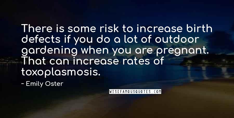 Emily Oster Quotes: There is some risk to increase birth defects if you do a lot of outdoor gardening when you are pregnant. That can increase rates of toxoplasmosis.