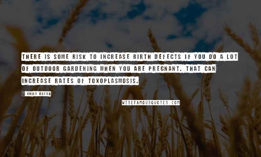 Emily Oster Quotes: There is some risk to increase birth defects if you do a lot of outdoor gardening when you are pregnant. That can increase rates of toxoplasmosis.