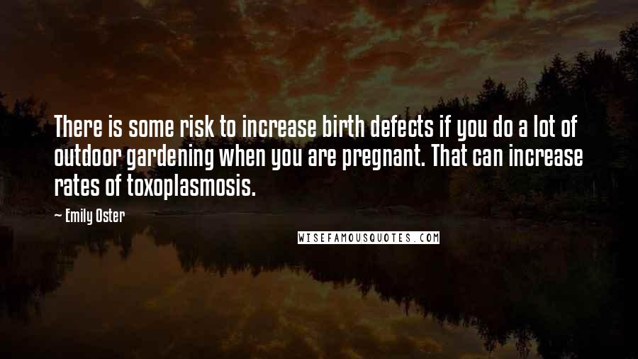 Emily Oster Quotes: There is some risk to increase birth defects if you do a lot of outdoor gardening when you are pregnant. That can increase rates of toxoplasmosis.