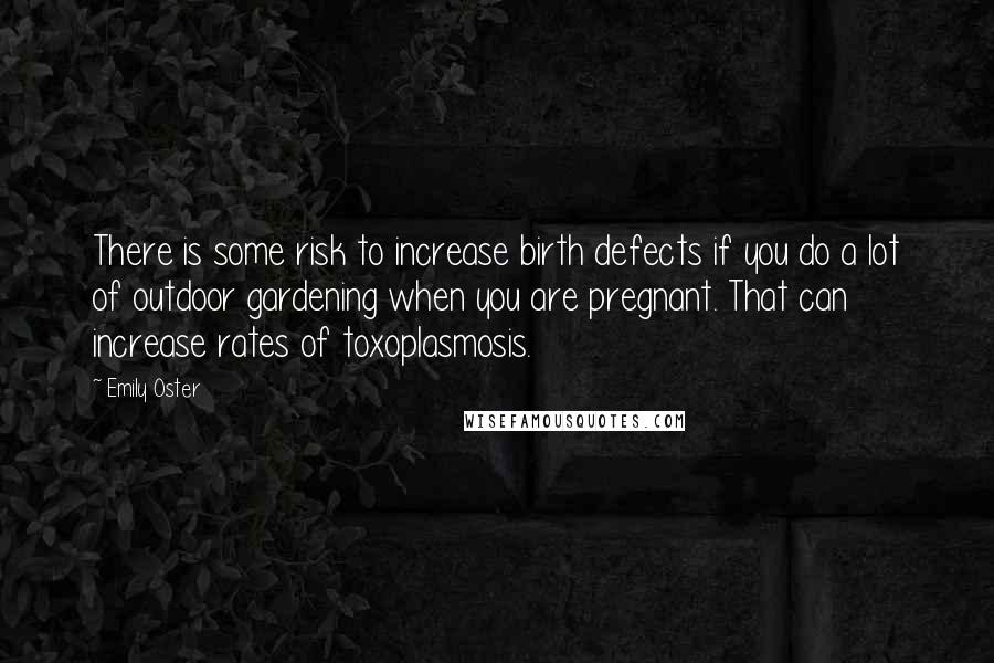 Emily Oster Quotes: There is some risk to increase birth defects if you do a lot of outdoor gardening when you are pregnant. That can increase rates of toxoplasmosis.