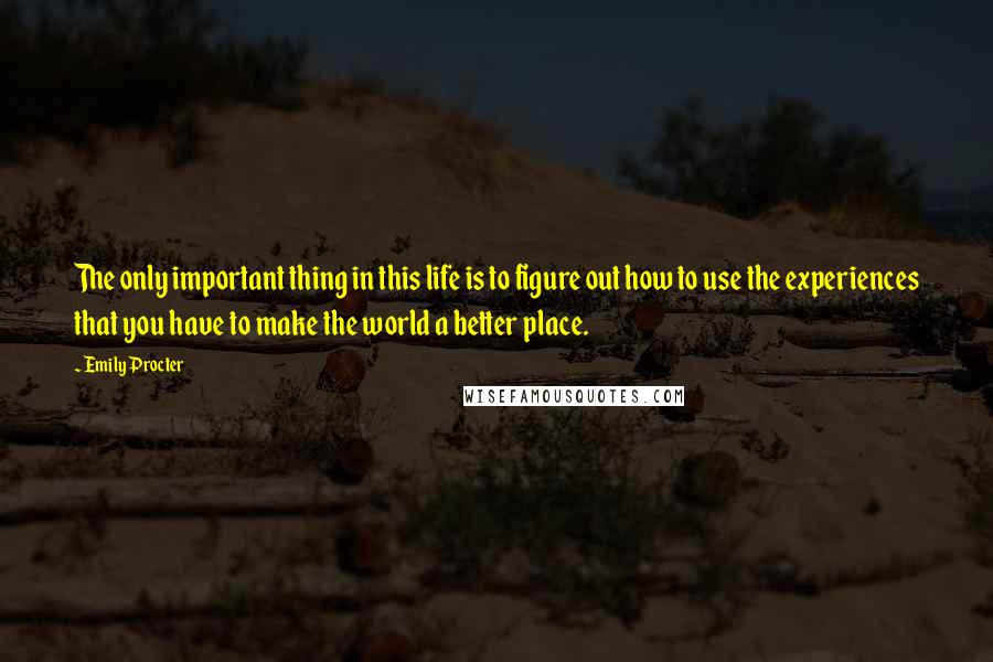 Emily Procter Quotes: The only important thing in this life is to figure out how to use the experiences that you have to make the world a better place.