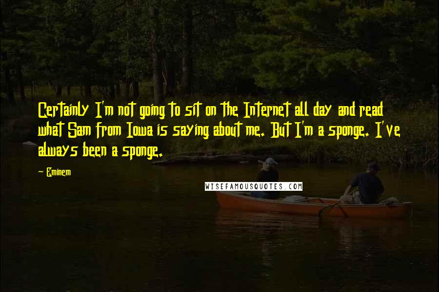 Eminem Quotes: Certainly I'm not going to sit on the Internet all day and read what Sam from Iowa is saying about me. But I'm a sponge. I've always been a sponge.