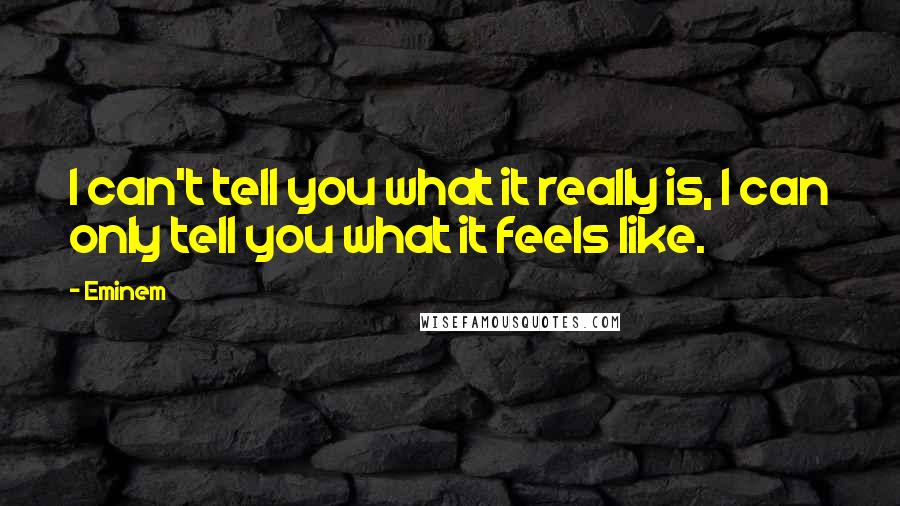 Eminem Quotes: I can't tell you what it really is, I can only tell you what it feels like.