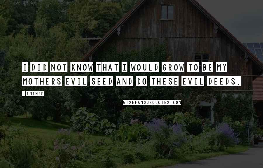 Eminem Quotes: I did not know that I would grow to be my mothers evil seed and do these evil deeds.