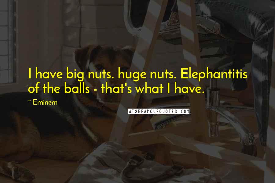 Eminem Quotes: I have big nuts. huge nuts. Elephantitis of the balls - that's what I have.