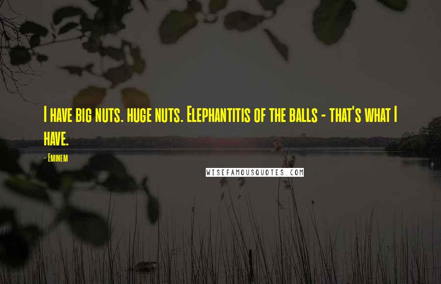 Eminem Quotes: I have big nuts. huge nuts. Elephantitis of the balls - that's what I have.