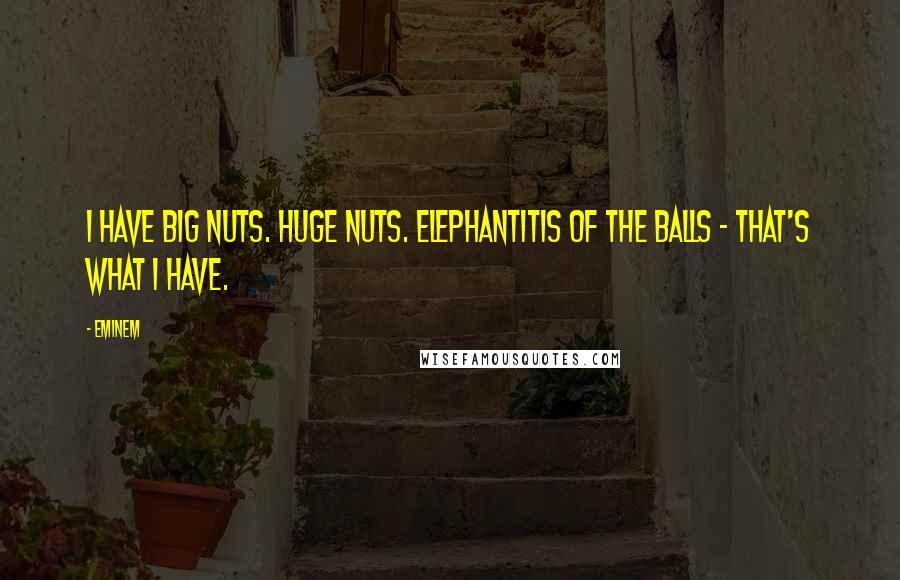 Eminem Quotes: I have big nuts. huge nuts. Elephantitis of the balls - that's what I have.