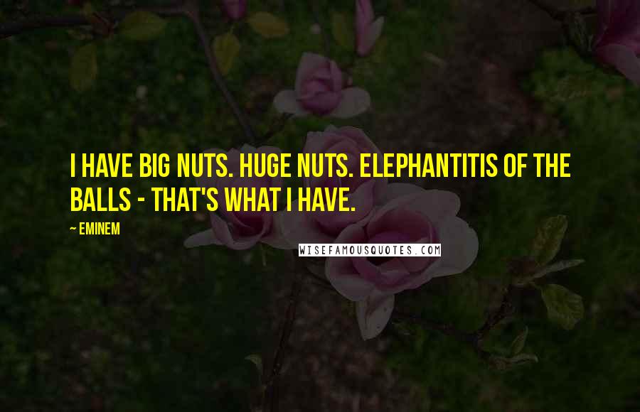 Eminem Quotes: I have big nuts. huge nuts. Elephantitis of the balls - that's what I have.