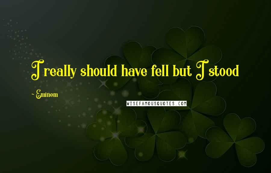 Eminem Quotes: I really should have fell but I stood