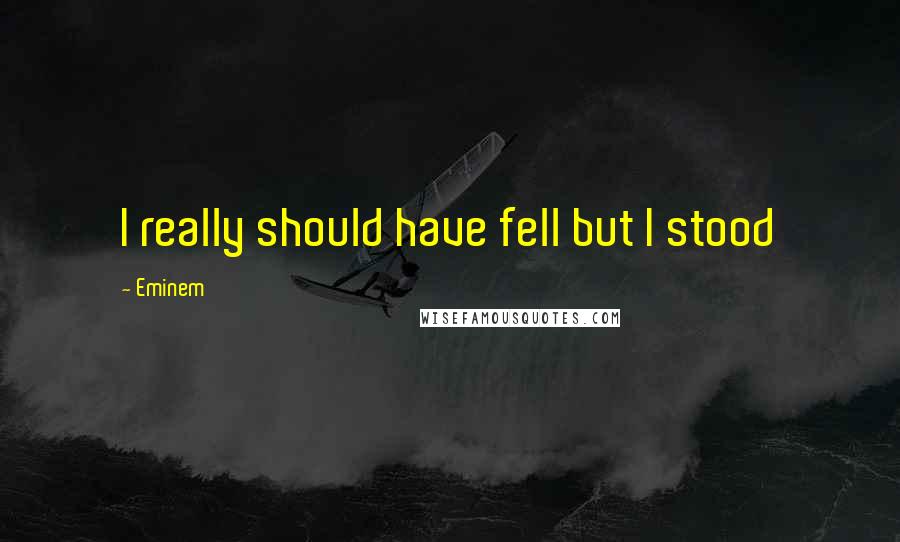 Eminem Quotes: I really should have fell but I stood