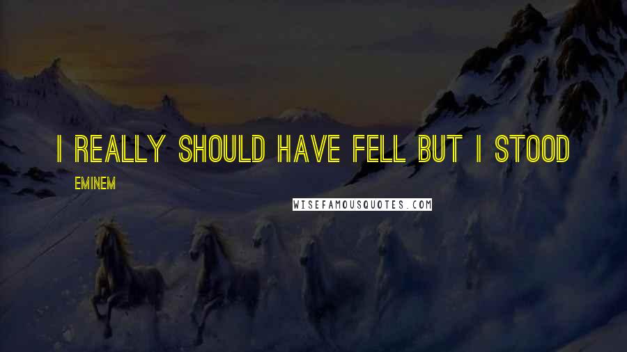 Eminem Quotes: I really should have fell but I stood