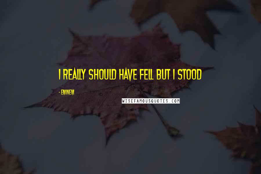 Eminem Quotes: I really should have fell but I stood
