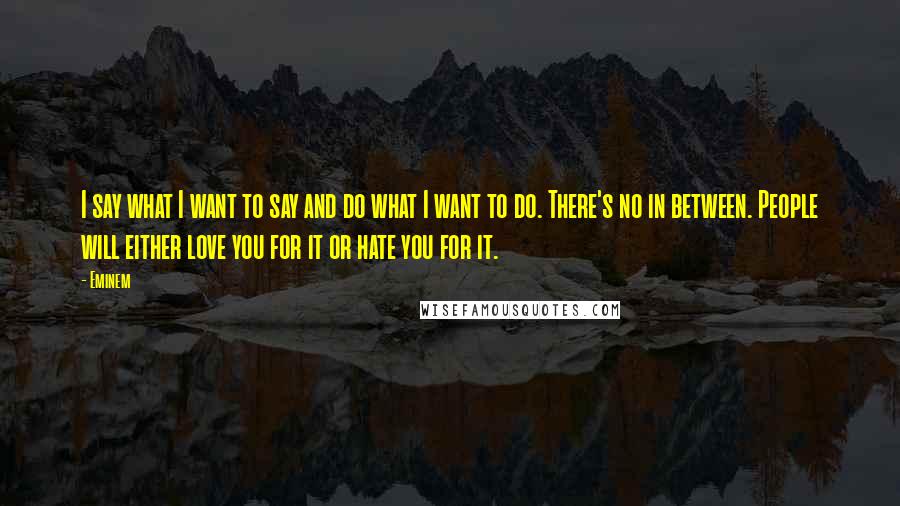 Eminem Quotes: I say what I want to say and do what I want to do. There's no in between. People will either love you for it or hate you for it.