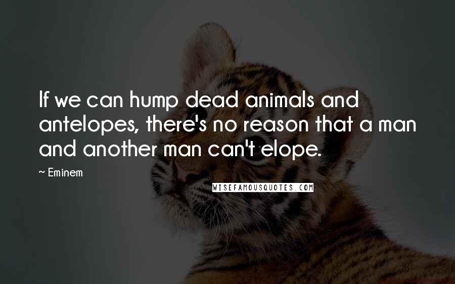 Eminem Quotes: If we can hump dead animals and antelopes, there's no reason that a man and another man can't elope.