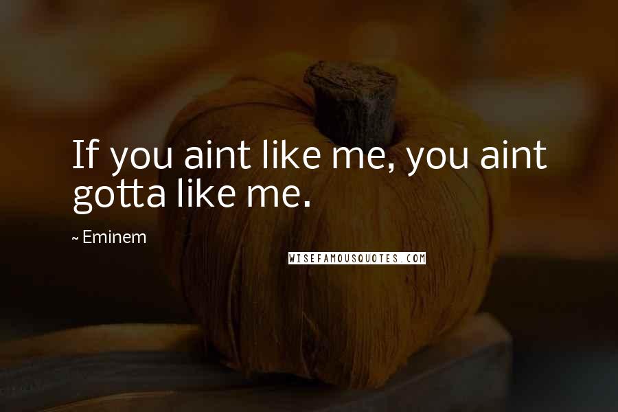 Eminem Quotes: If you aint like me, you aint gotta like me.