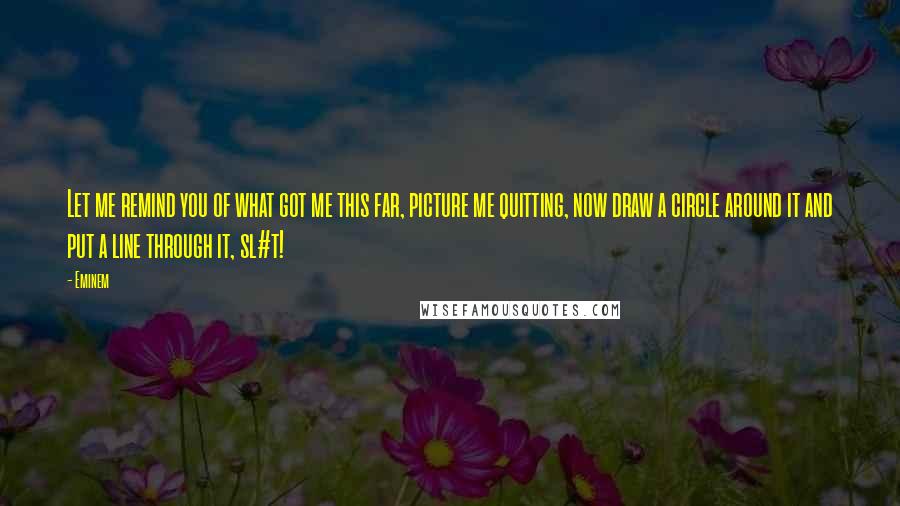 Eminem Quotes: Let me remind you of what got me this far, picture me quitting, now draw a circle around it and put a line through it, sl#t!