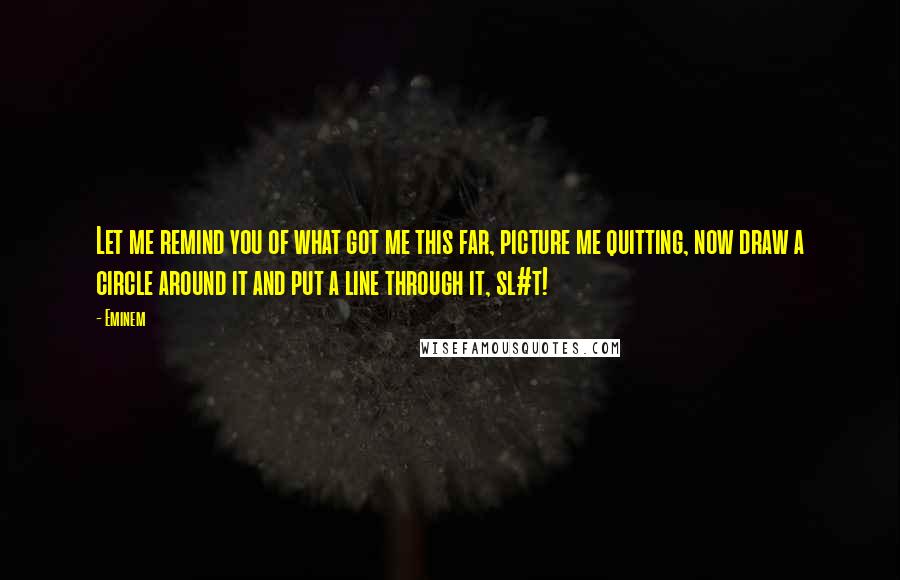 Eminem Quotes: Let me remind you of what got me this far, picture me quitting, now draw a circle around it and put a line through it, sl#t!