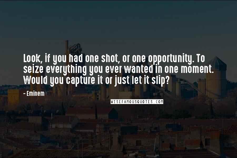 Eminem Quotes: Look, if you had one shot, or one opportunity. To seize everything you ever wanted in one moment. Would you capture it or just let it slip?