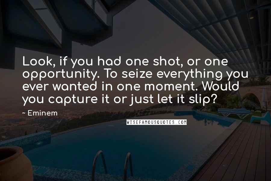 Eminem Quotes: Look, if you had one shot, or one opportunity. To seize everything you ever wanted in one moment. Would you capture it or just let it slip?