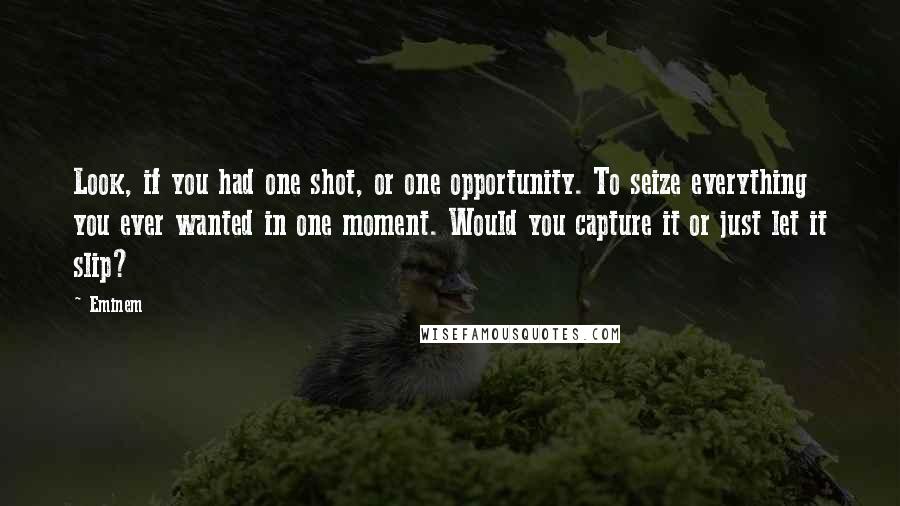 Eminem Quotes: Look, if you had one shot, or one opportunity. To seize everything you ever wanted in one moment. Would you capture it or just let it slip?