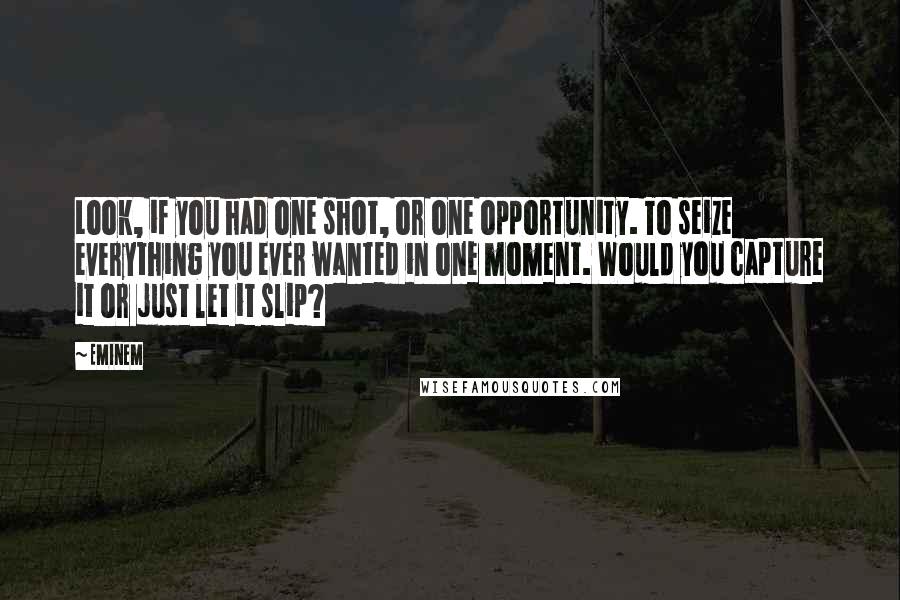 Eminem Quotes: Look, if you had one shot, or one opportunity. To seize everything you ever wanted in one moment. Would you capture it or just let it slip?