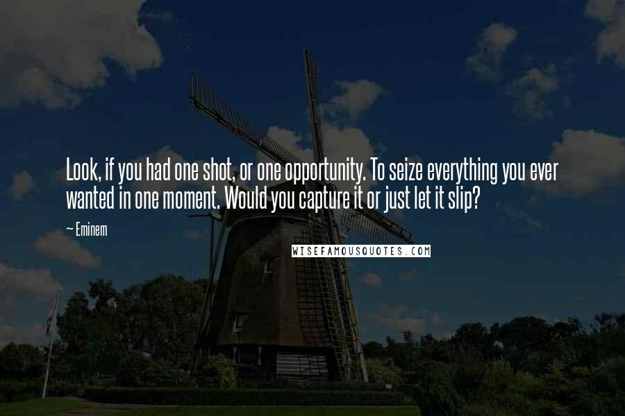 Eminem Quotes: Look, if you had one shot, or one opportunity. To seize everything you ever wanted in one moment. Would you capture it or just let it slip?