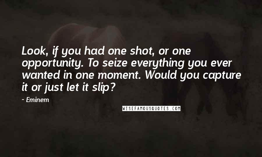 Eminem Quotes: Look, if you had one shot, or one opportunity. To seize everything you ever wanted in one moment. Would you capture it or just let it slip?