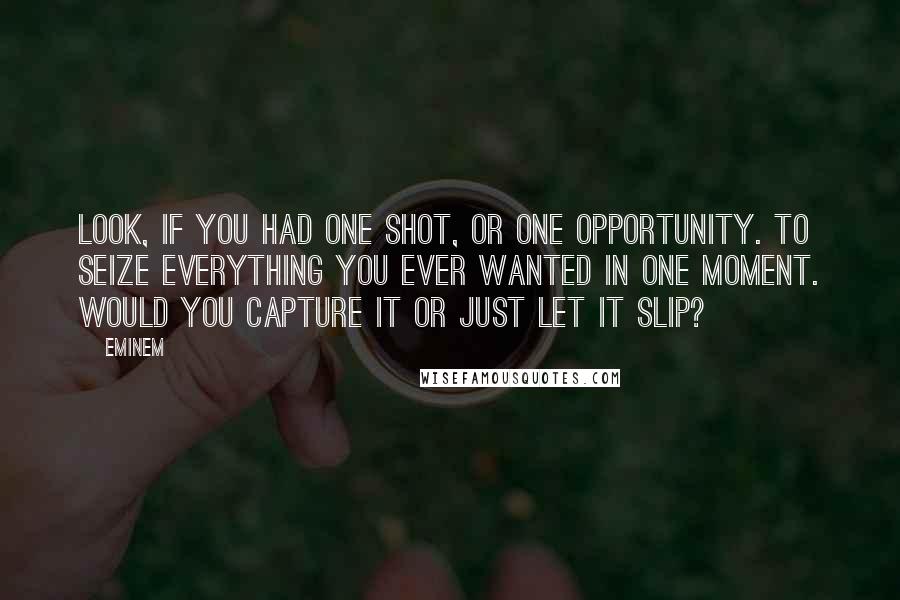 Eminem Quotes: Look, if you had one shot, or one opportunity. To seize everything you ever wanted in one moment. Would you capture it or just let it slip?