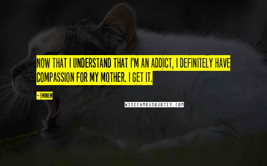 Eminem Quotes: Now that I understand that I'm an addict, I definitely have compassion for my mother. I get it.