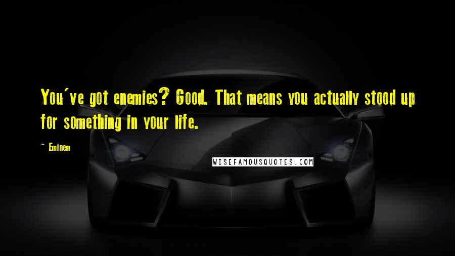 Eminem Quotes: You've got enemies? Good. That means you actually stood up for something in your life.