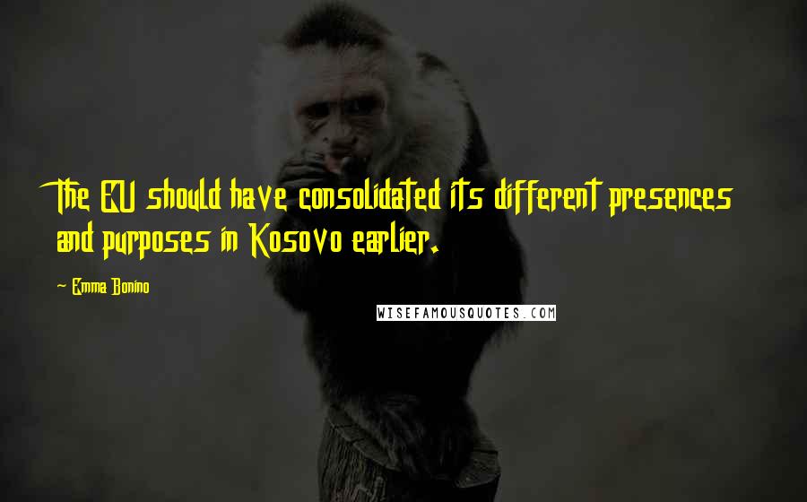 Emma Bonino Quotes: The EU should have consolidated its different presences and purposes in Kosovo earlier.