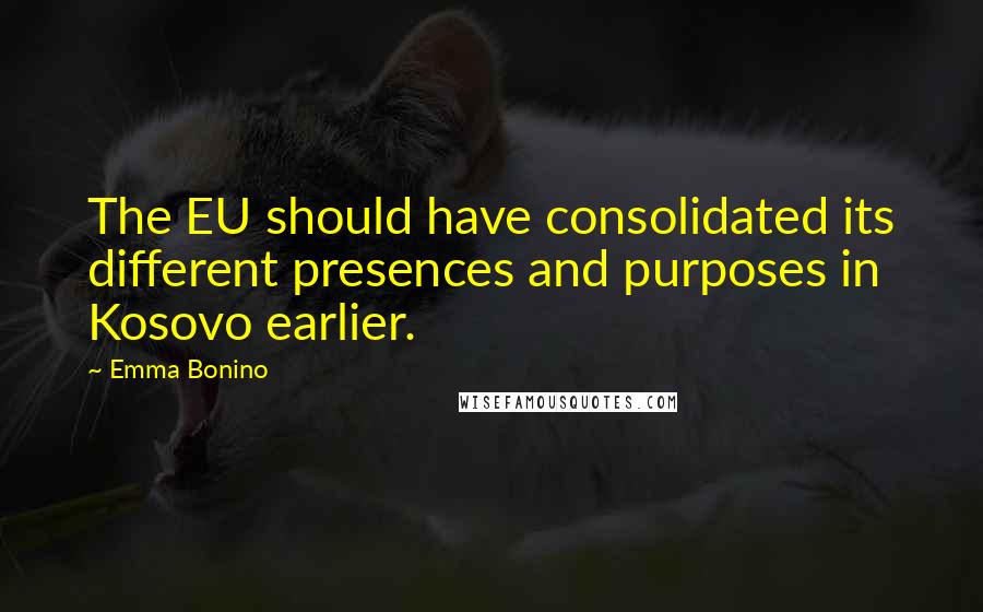 Emma Bonino Quotes: The EU should have consolidated its different presences and purposes in Kosovo earlier.