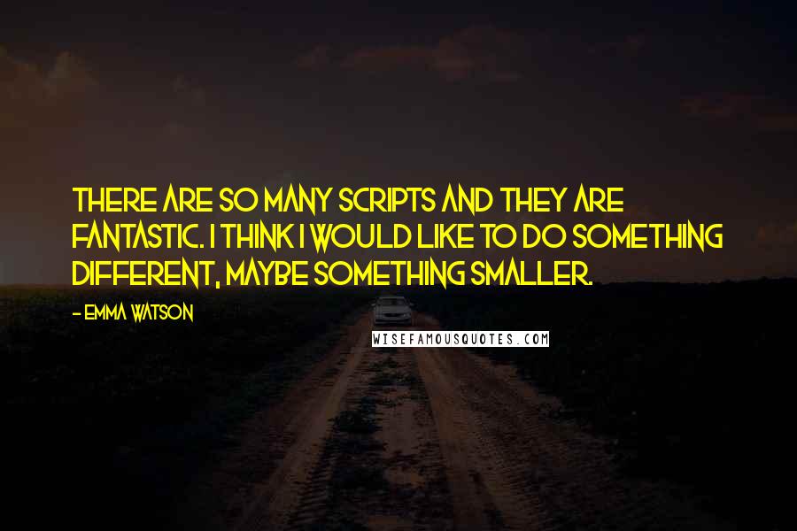 Emma Watson Quotes: There are so many scripts and they are fantastic. I think I would like to do something different, maybe something smaller.