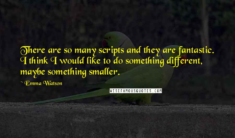 Emma Watson Quotes: There are so many scripts and they are fantastic. I think I would like to do something different, maybe something smaller.
