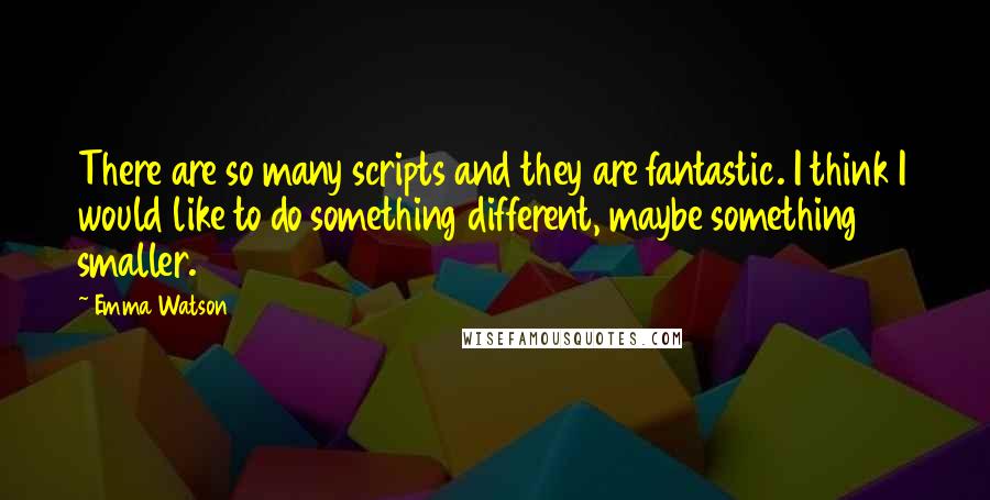 Emma Watson Quotes: There are so many scripts and they are fantastic. I think I would like to do something different, maybe something smaller.