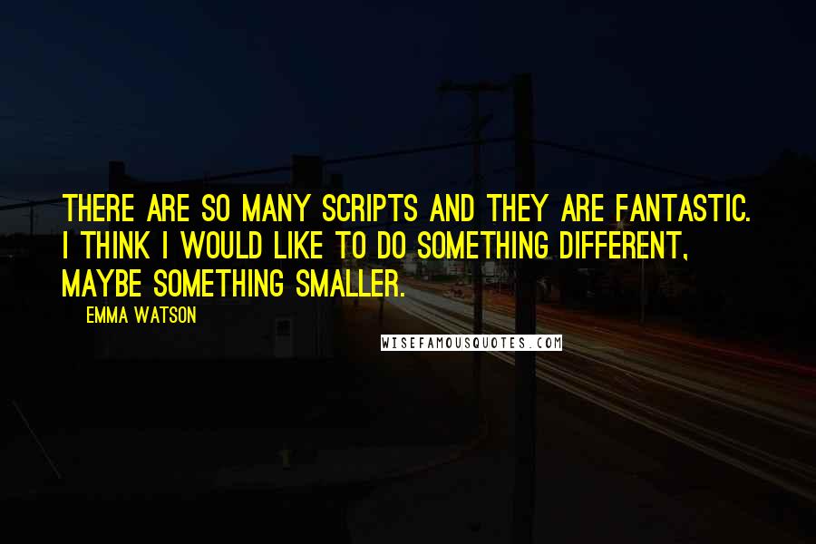 Emma Watson Quotes: There are so many scripts and they are fantastic. I think I would like to do something different, maybe something smaller.