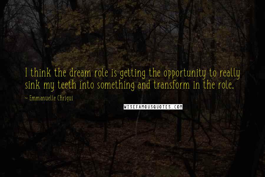 Emmanuelle Chriqui Quotes: I think the dream role is getting the opportunity to really sink my teeth into something and transform in the role.