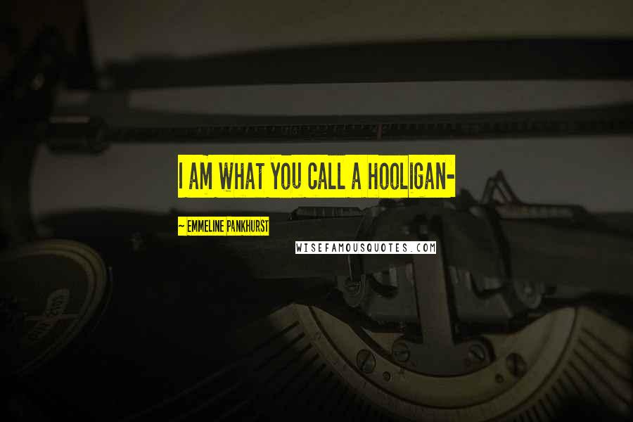 Emmeline Pankhurst Quotes: I am what you call a hooligan-