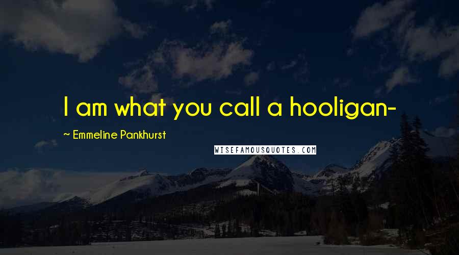 Emmeline Pankhurst Quotes: I am what you call a hooligan-