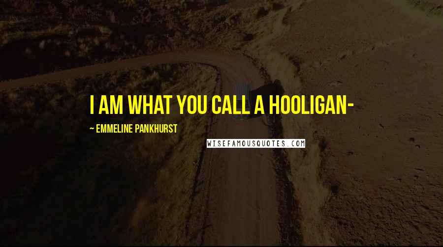 Emmeline Pankhurst Quotes: I am what you call a hooligan-