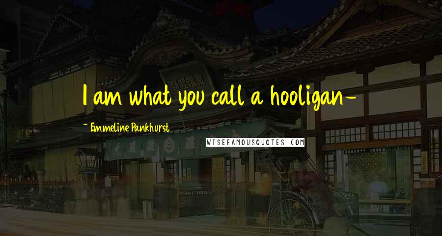 Emmeline Pankhurst Quotes: I am what you call a hooligan-