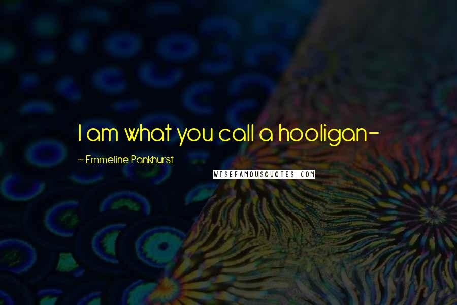Emmeline Pankhurst Quotes: I am what you call a hooligan-