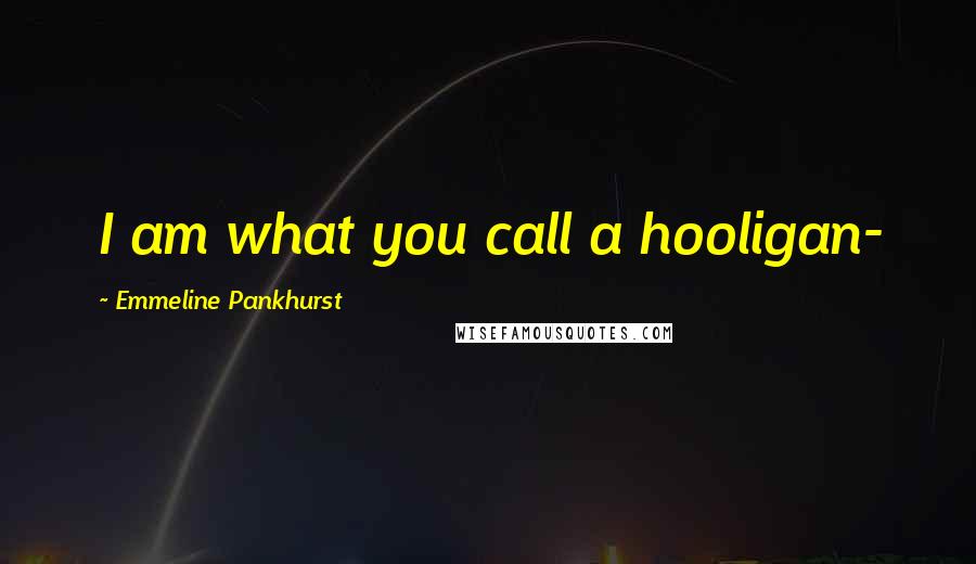 Emmeline Pankhurst Quotes: I am what you call a hooligan-