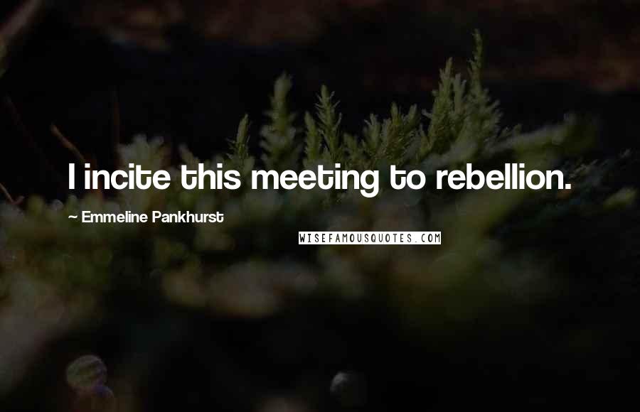 Emmeline Pankhurst Quotes: I incite this meeting to rebellion.