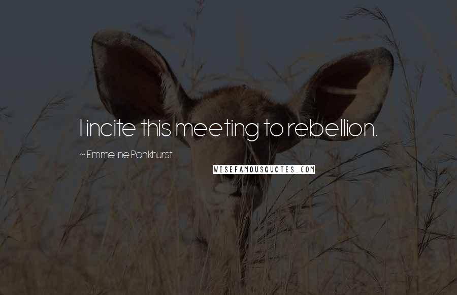 Emmeline Pankhurst Quotes: I incite this meeting to rebellion.