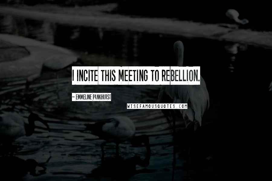 Emmeline Pankhurst Quotes: I incite this meeting to rebellion.