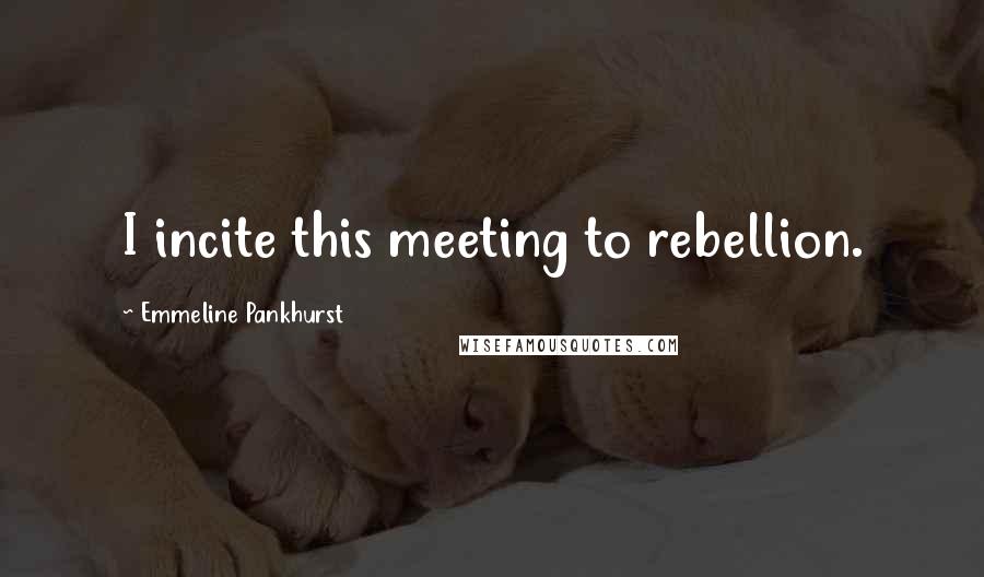 Emmeline Pankhurst Quotes: I incite this meeting to rebellion.